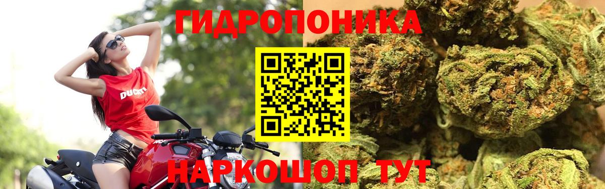 Канабис ГИДРОПОН Улан-Удэ